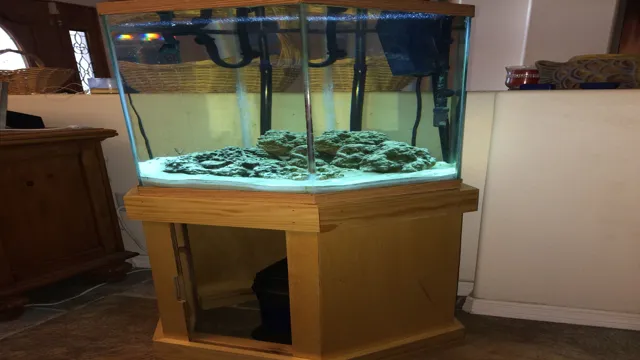 How to Build a Large Aquarium Stand: Step-by-Step Guide for Beginners