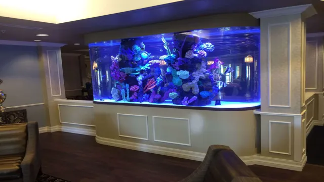 how to build a large home aquarium