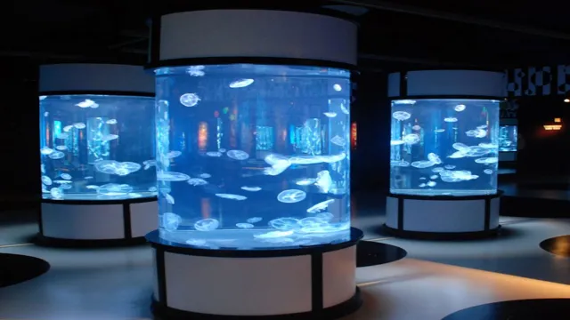 how to build a large jellyfish aquarium