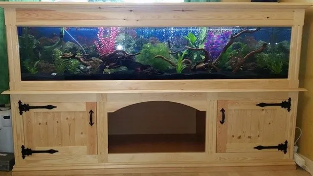 How to Build a Large Wooden Aquarium in Simple Steps