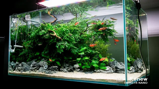 How to Build a Low Maintenance Aquarium: Tips and Tricks for Easy Maintenance