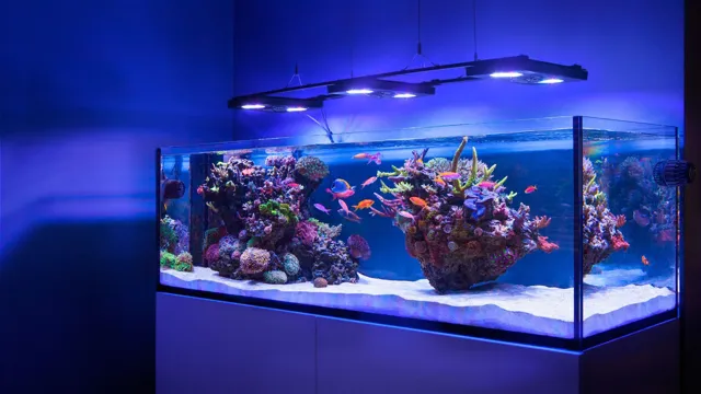 how to build a marine aquarium tank