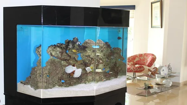 how to build a monster acrylic aquarium