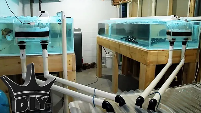 How to Build a Monster Acrylic Aquarium: A Step-by-Step Guide