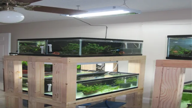how to build a multiple aquarium stand