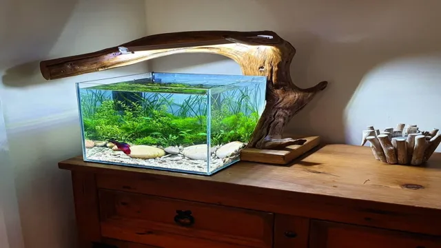 How to Build a Nano Aquarium Stand – Step-by-Step Guide for Beginners