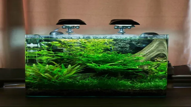 How to Build a Nano Aquarium: Tips, Tricks, and Essential Supplies