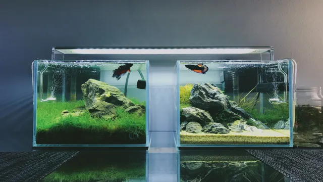 how to build a nano fish aquarium