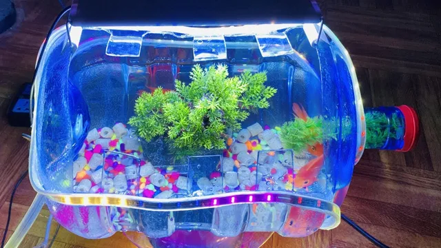 How to Build a Plastic Aquarium: A Comprehensive Guide for Beginners