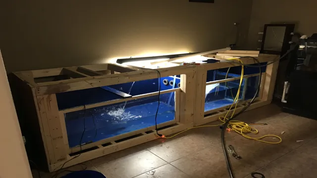 how to build a plywood and acrylic aquarium