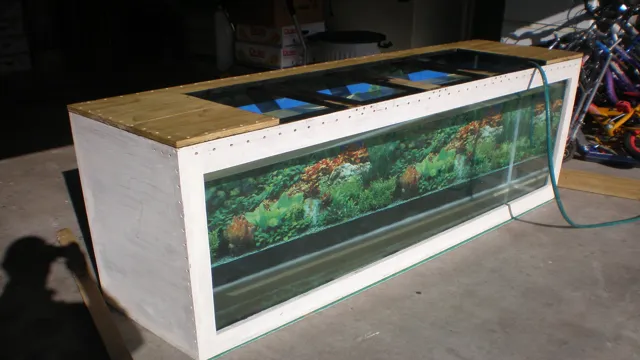 How to Build a Plywood and Acrylic Aquarium: A Step-by-Step Guide