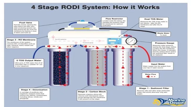 How to Build a Reverse Osmosis Filter for Aquarium – A Complete Guide