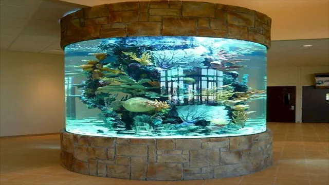 How to Build a Round Acrylic Aquarium: Tips and Tricks for a Stunning Fish Tank