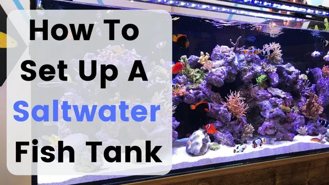 how to build a saltwater aquarium from scratch