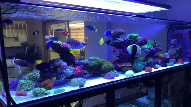 how to build a saltwater reef aquarium