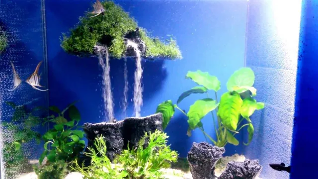 How to Build a Sand Fall in Aquarium: A Step-by-Step Guide for a Stunning Aquatic Display.