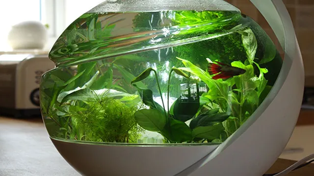 How to Build a Self Cleaning Aquarium: Expert Tips and Tricks for a Clean and Healthy Fish Tank