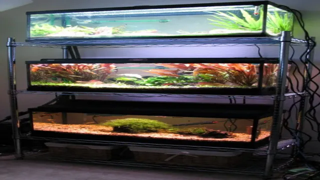 how to build a shelf in aquarium