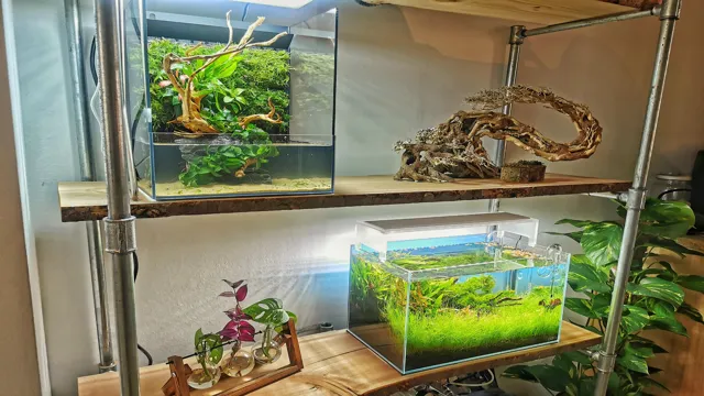 how to build a shelf to hold aquariums