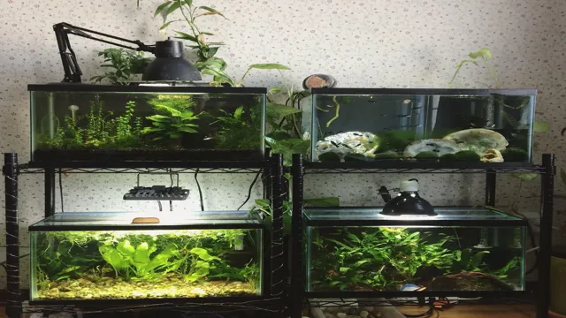 How to Build a Shelf to Hold Aquariums: Step-by-Step Guide for Strong and Sturdy DIY Aquarium Shelves