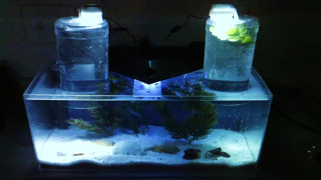 how to build a small acrylic aquarium