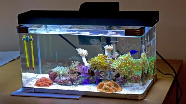 How to Build a Top for a 30 Gallon Aquarium: Step-by-Step Guide