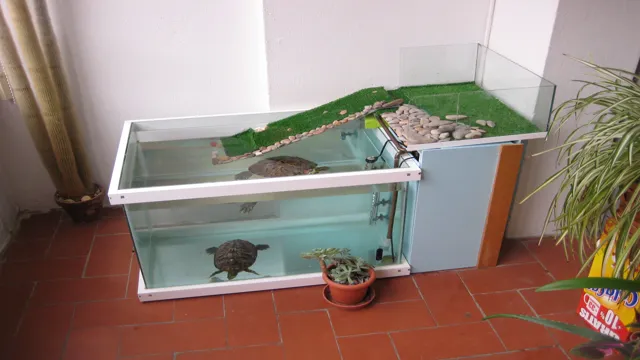 how to build a turtle aquarium