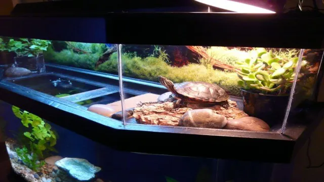 how to build a turtle aquarium with home ingredients