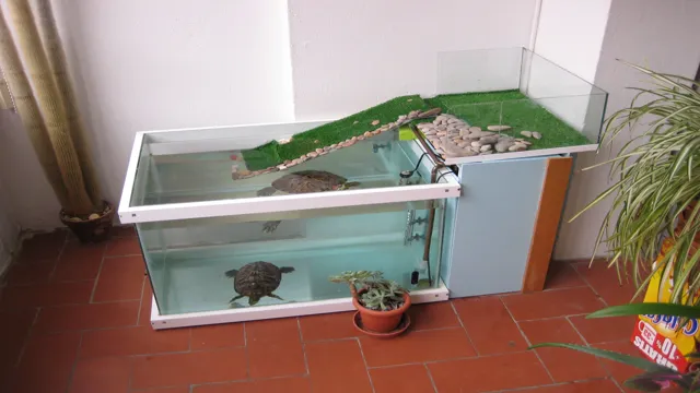 How to Build a Turtle Aquarium: A Step-by-Step Guide to Setting Up the ...