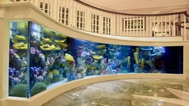 How to Build a Very Large Aquarium: Tips and Tricks for a Stunning Aquatic Display.