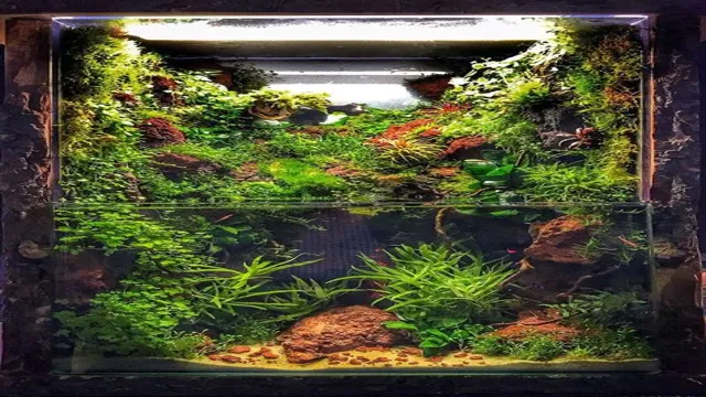 how to build a vivarium front current aquarium