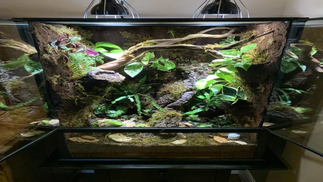 How to Build a Vivarium Front Current Aquarium: Step-by-Step Guide for Creating a Stunning Reptile Habitat