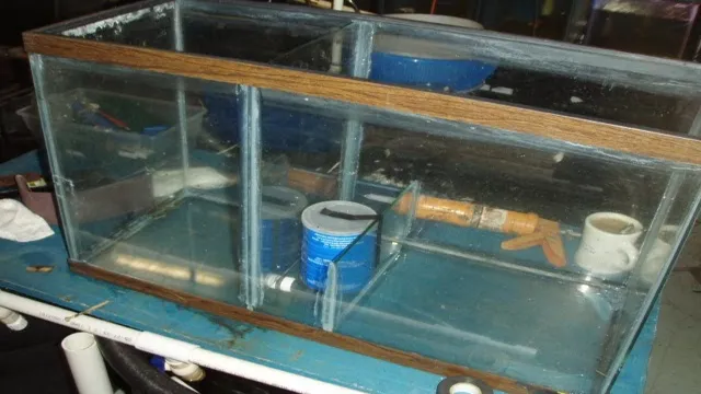 how to build a wet dry aquarium filter