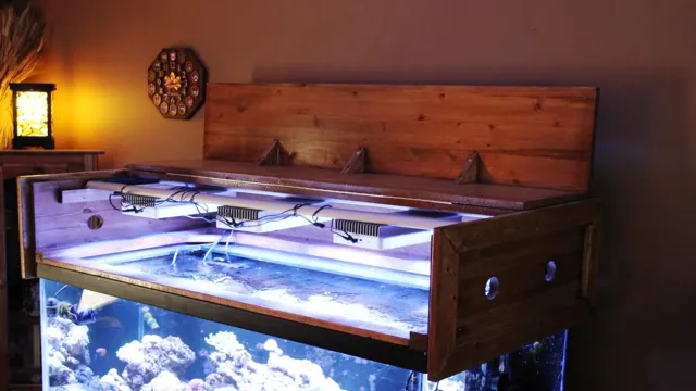 how to build a wood aquarium canopy