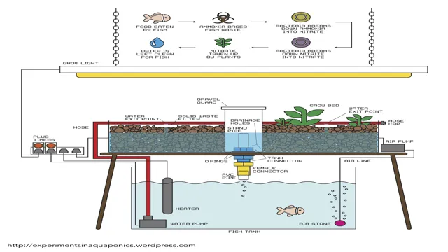 How to Build an Aquarium Aquaponics System: A Step-by-Step Guide for Beginners