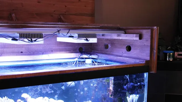 how to build an aquarium canopy with lights