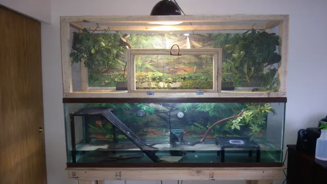 How to Build an Aquarium for My Dragon: A Step-by-Step Guide for Creating the Perfect Habitat