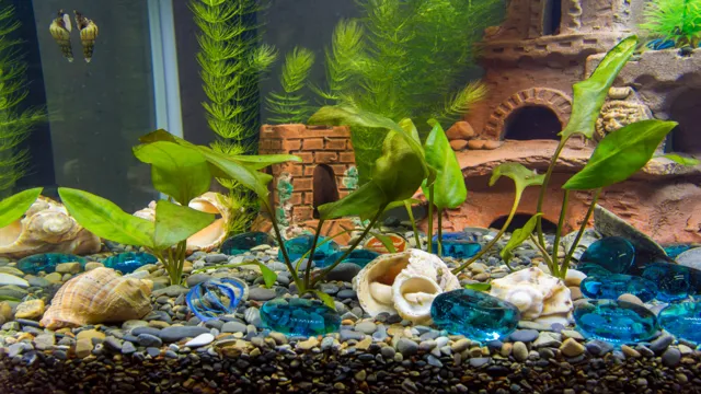 how to build an aquarium for snails
