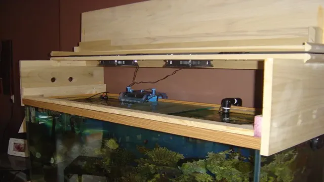 How to Build an Aquarium from Scratch: A Step-by-Step Guide