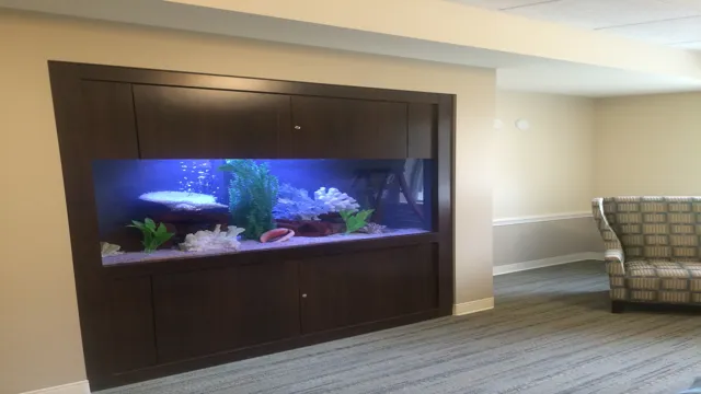 how to build an aquarium in the wall