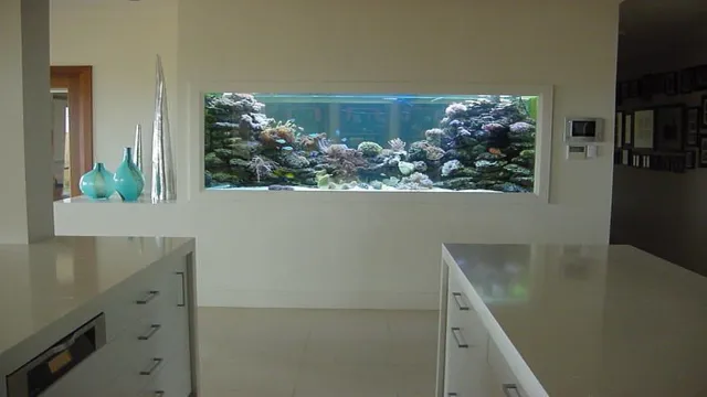 How to Build an Aquarium into a Wall: Tips and Tricks…