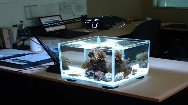 How to Build an Aquarium RS34: Tips and Tricks for a Successful Setup