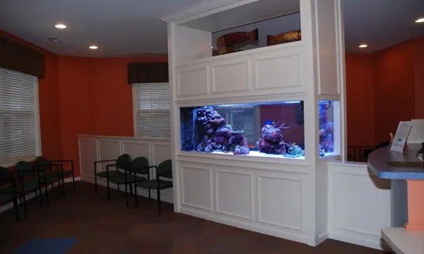 How to Build an Aquarium Wall: Step-by-Step Guide&hellip;