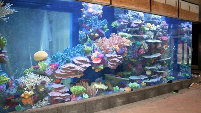 how to build coral reef aquarium