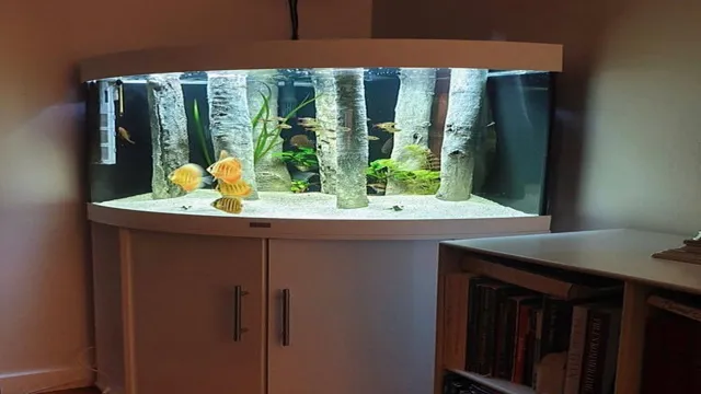 how to build corner aquarium