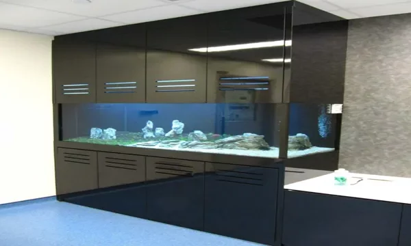 How to Build Height in Your Aquarium: Tips&hellip;