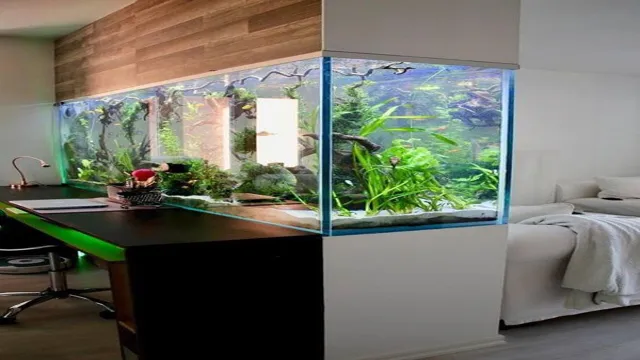 How to build in wall aquarium: A step-by-step guide for beginners