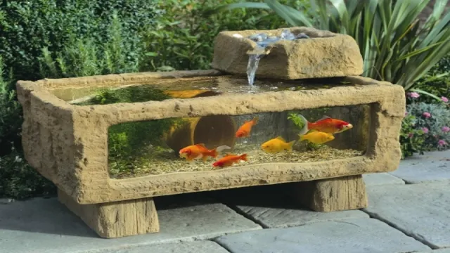 how to build outdoor aquarium