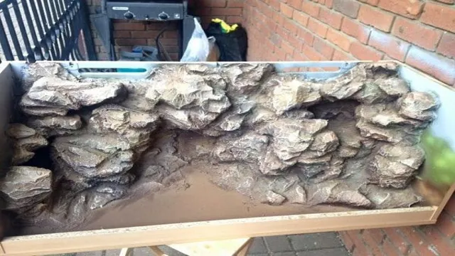 How to Build a Rock Wall for Aquarium with Snake: Step-by-Step Guide