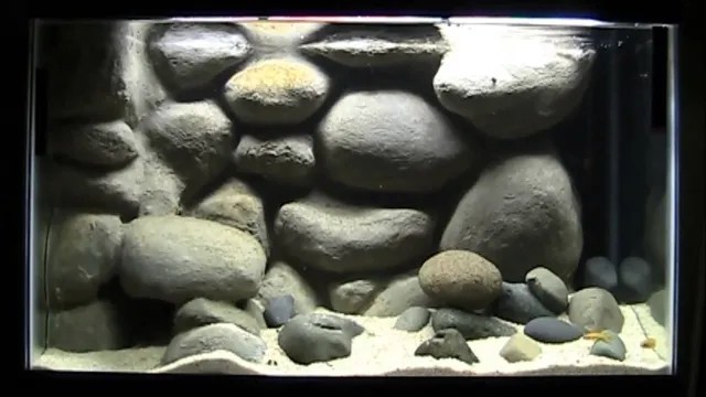 How to Build a Rock Wall in Aquarium: A Step-by-Step Guide